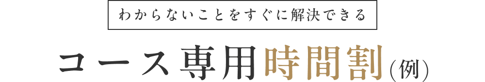 わからないことをすぐに解決できるコース専用時間割(例)